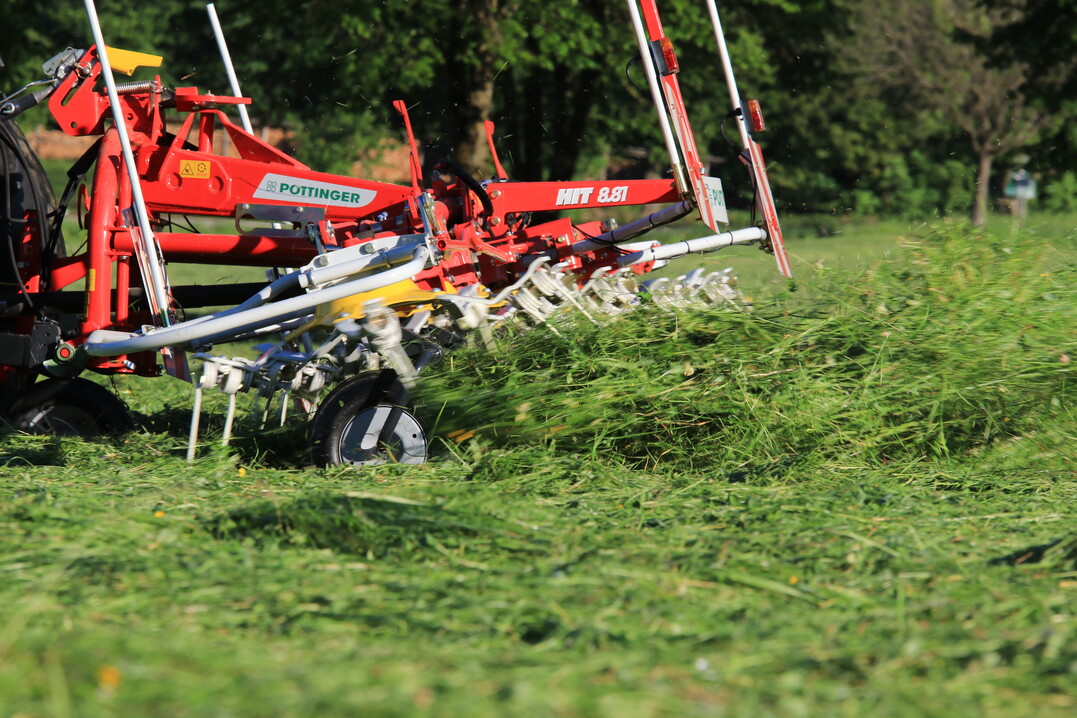 Beim Zettwenden sollte der Streuwinkel nach hinten eher steil sein, das geht mit kleineren Kreiseldurchmessern recht gut.