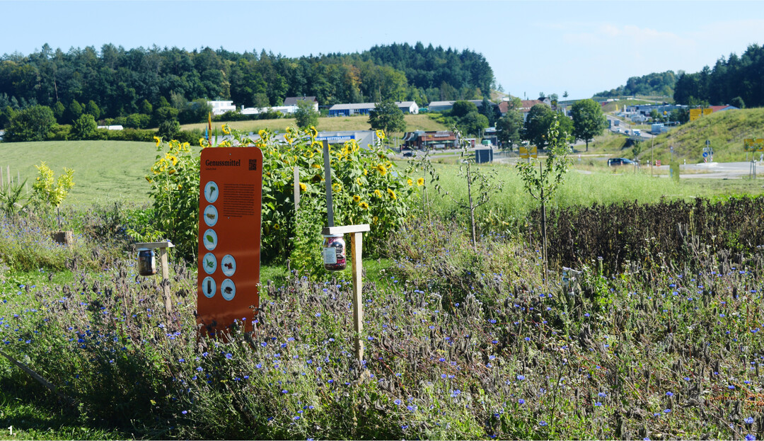 Erkl�rschilder und Lernstationen unterst�tzen den Rundgang �ber die 2000 m².