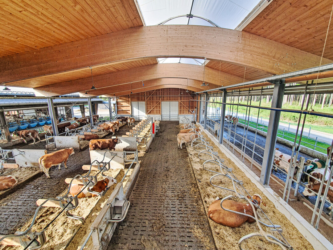 Die Reduktion von Treibhausgas-Emissionen im Futterbaubetrieb lässt sich unter anderem durch die Optimierung von Futter und Fütterung erreichen.