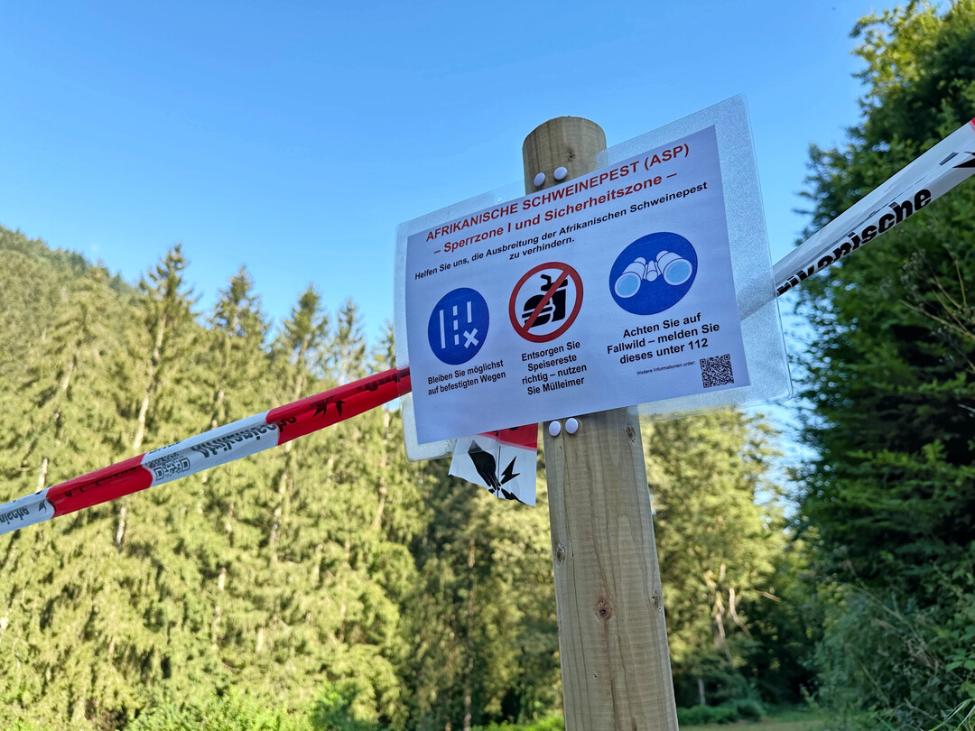 Ma�nahmen, um die Verbreitung der Afrikanischen Schweinepest zu verhindern.