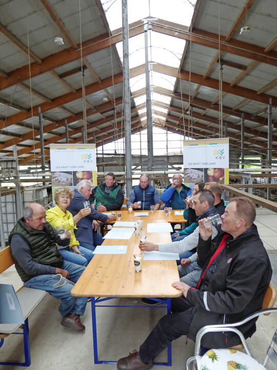 Gute Stimmung beim Pressegespräch zum Tag der Milch im Landkreis Biberach auf dem Betrieb von Familie Egle.