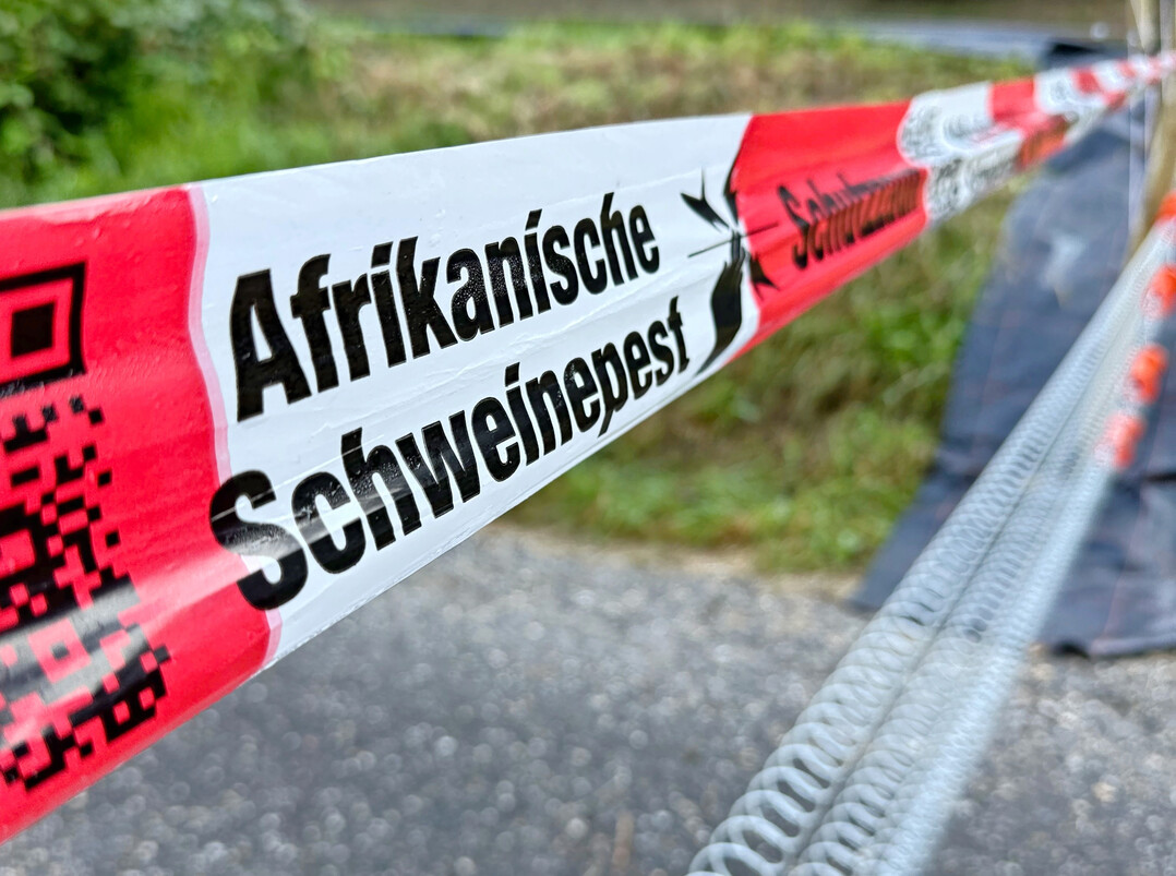 Ma�nahmen um die Verbreitung der Afrikanischen Schweinepest zu verhindern.