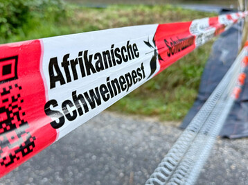 Maßnahmen um die Verbreitung der Afrikanischen Schweinepest zu verhindern.