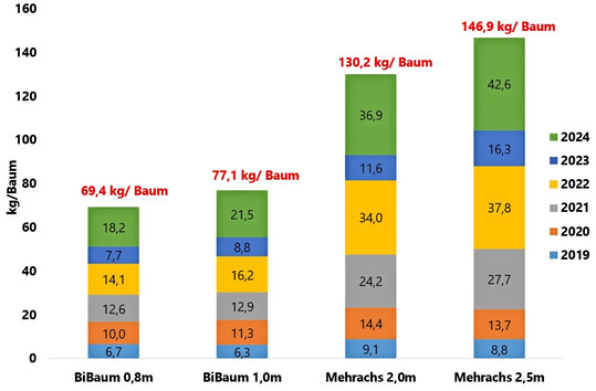 Abb. 2: Ertrag in Kilo pro Baum bei der Sorte Gala
(Ertragserfassung von 2019-2024)