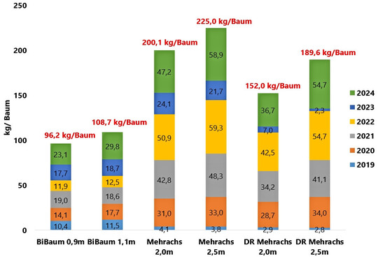 Abb. 1: Ertrag in Kilo pro Baum bei der Sorte Fuji
(Ertragserfassung von 2019-2024; DR = Doppelreihe)