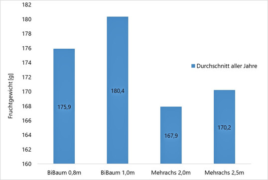 Abb. 7: Durchschnittliches Fruchtgewicht bei der Sorte Gala
(Erfassung von 2019-2024)