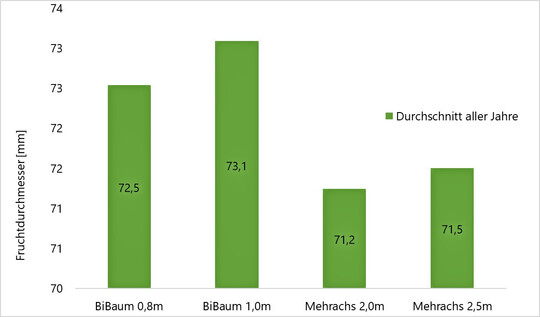 Abb. 8: Durchschnittlicher Fruchtdurchmesser bei der Sorte Gala
(Erfassung von 2019-2024)