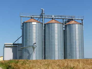 Getreidelager sollten vor der Einlagerung der neuen Ernte gereinigt und auch Eintrittspforten von Feuchtigkeit kontrolliert werden.
