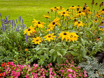 Das Citizen-Science-Projekt GartenDiv erforscht die Pflanzenvielfalt in Deutschlands G�rten.