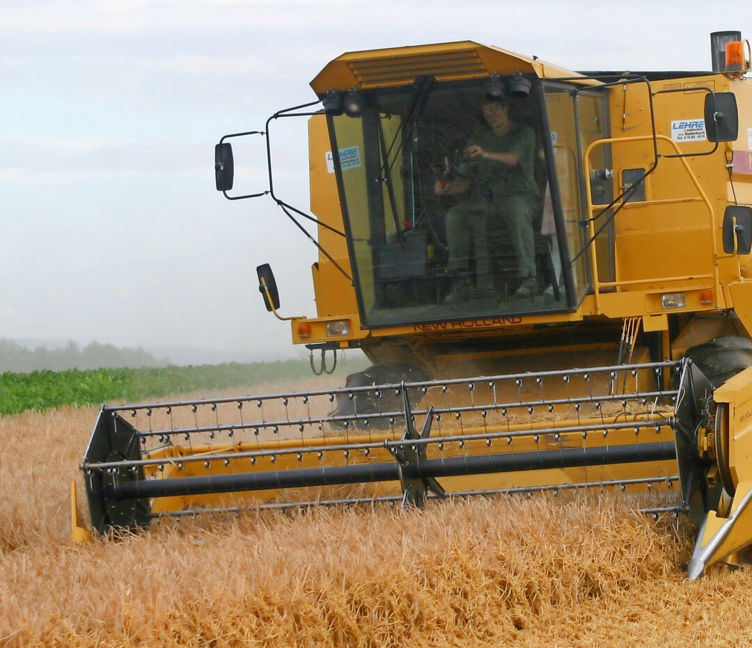 Wenn das Wetter mitspielt, k�nnte die EU in diesem Jahr ein Zehntel mehr Getreide ernten. Die Erwartung ergibt sich aus gr��eren Anbaufl�chen und h�heren Ertragssch�tzungen.  