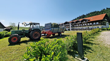 Heu ist ein elementarer Bestandteil in den Hotels von Klaus Hauber.