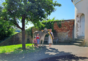 Die Vorbereitungen zur deutschen Brown Swiss Bundesjungz�chterschau sind angelaufen.