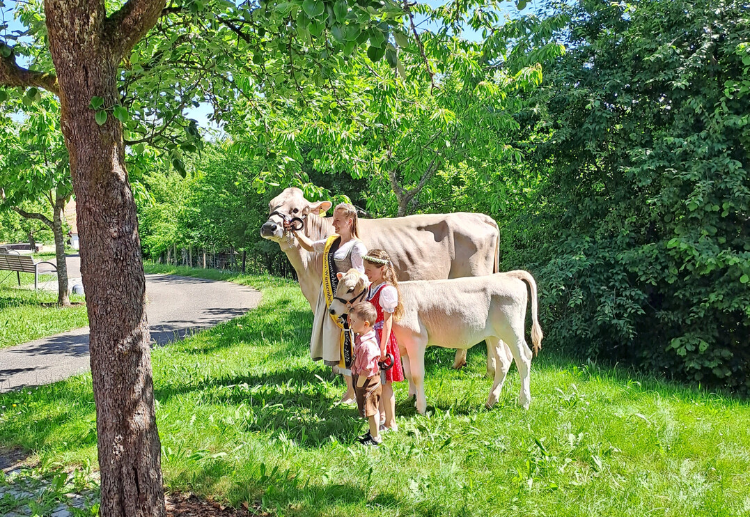 Die Vorbereitungen zur deutschen Brown Swiss Bundesjungz�chterschau sind angelaufen.