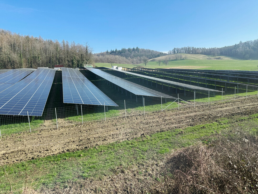 Fotovoltaik (PV)-Freifl�chenanlage in der Natur.