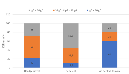 Den h�chsten Immunglobulingehalt (IgG) wiesen K�lber auf, die an der Kuhmutter Kolostrum aufnehmen konnten und die zus�tzlich getr�nkt wurden.