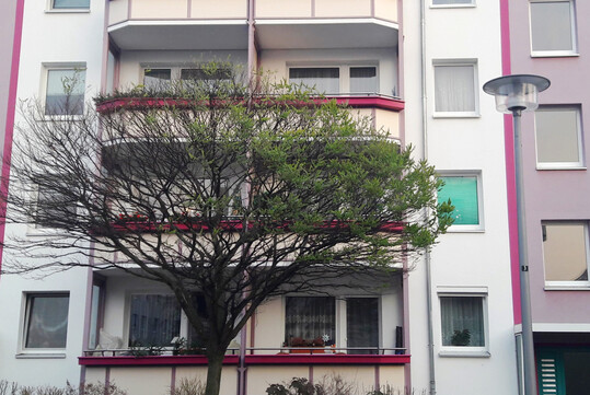 Ein Baum (Robinie) in Berlin Friedrichshagen verliert aufgrund der Beleuchtung durch eine Stra�enlaterne nur einseitig seine Bl�tter im Herbst/Winter. Die beleuchtete Seite bleibt gr�n.