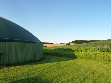 Die j�ngste Ausschreibung der Bundesnetzagentur f�r Biomasseanlagen war mehrfach �berzeichnet.
