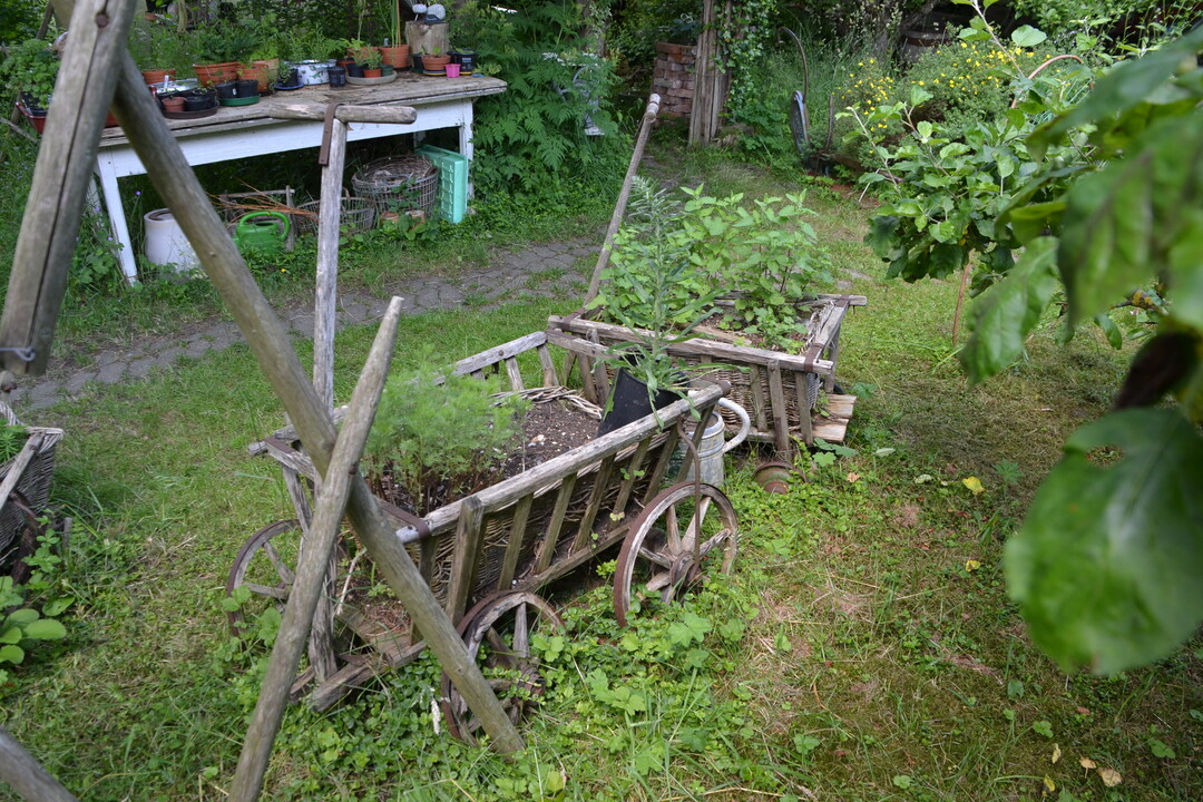 Gartenfahrt 19.6.2015 Naturgarten Geigle Bad Urach-Hengen