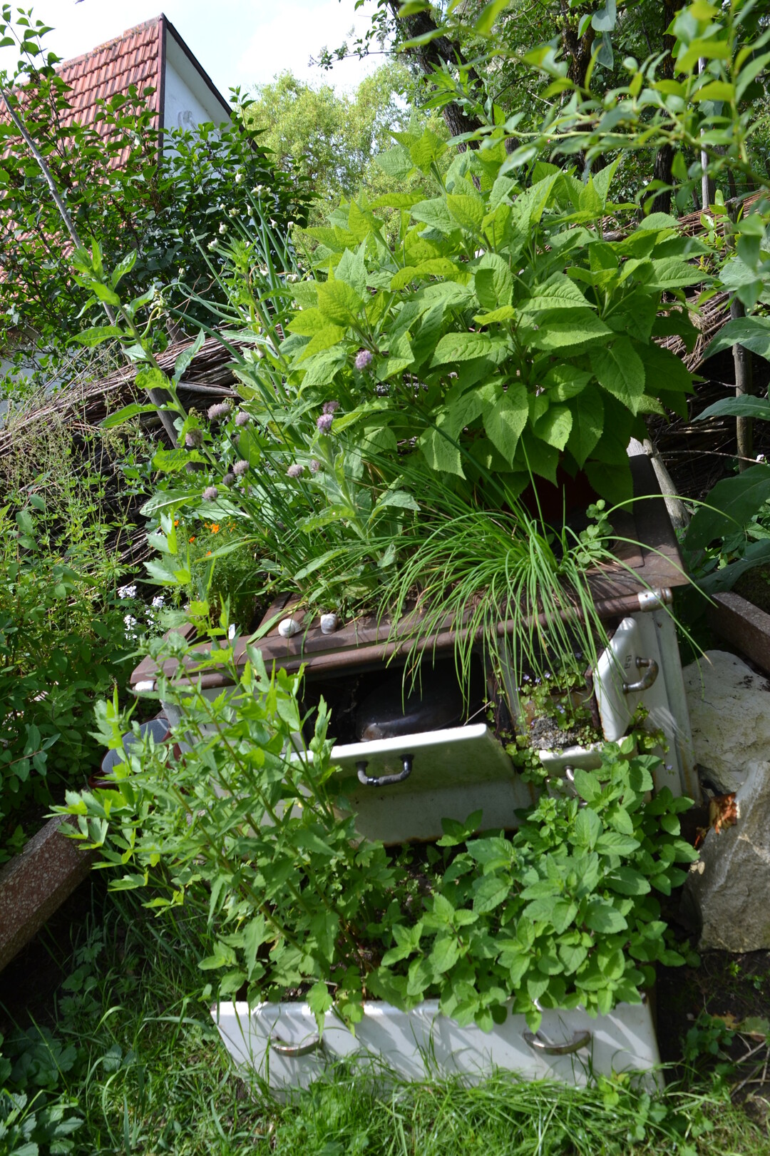 Gartenfahrt 19.6.2015 Naturgarten Geigle Bad Urach-Hengen
