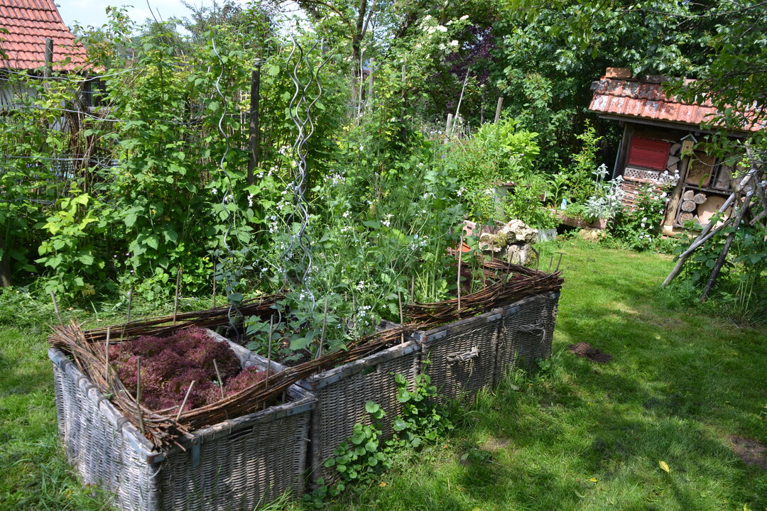 Gartenfahrt 19.6.2015 Naturgarten Geigle Bad Urach-Hengen