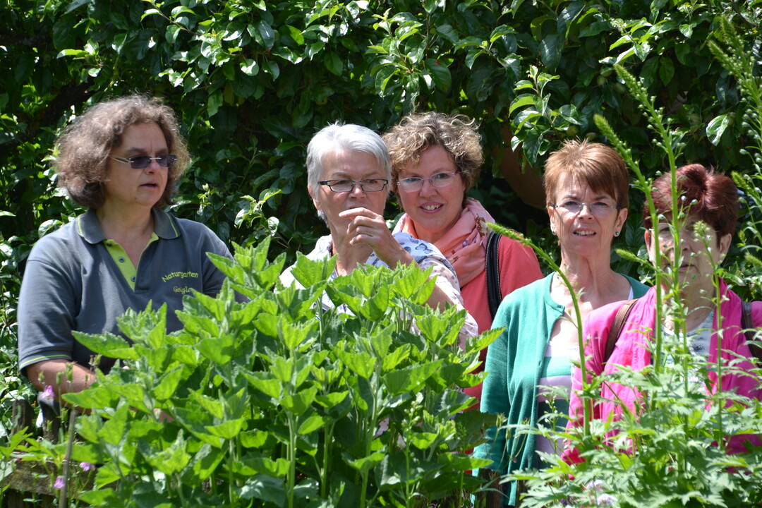 Gartenfahrt 19.6.2015 Naturgarten Geigle Bad Urach-Hengen