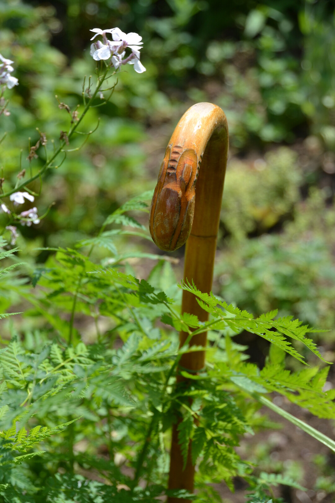 Gartenfahrt 19.6.2015 Naturgarten Geigle Bad Urach-Hengen