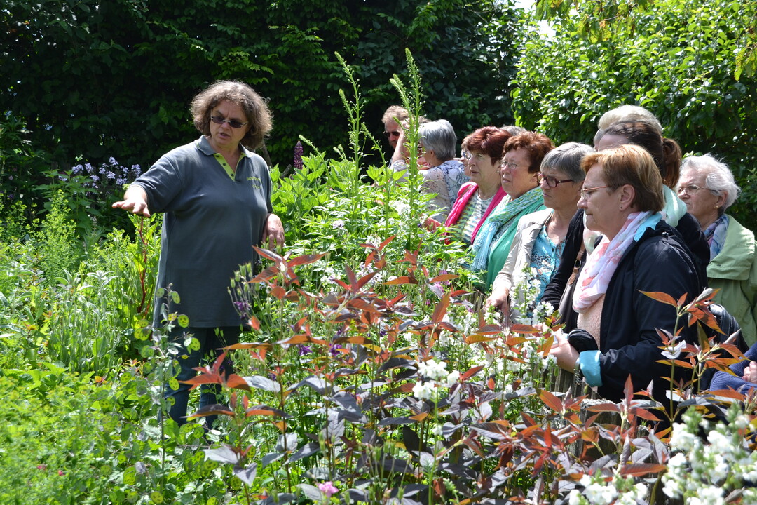 Gartenfahrt 19.6.2015 Naturgarten Geigle Bad Urach-Hengen