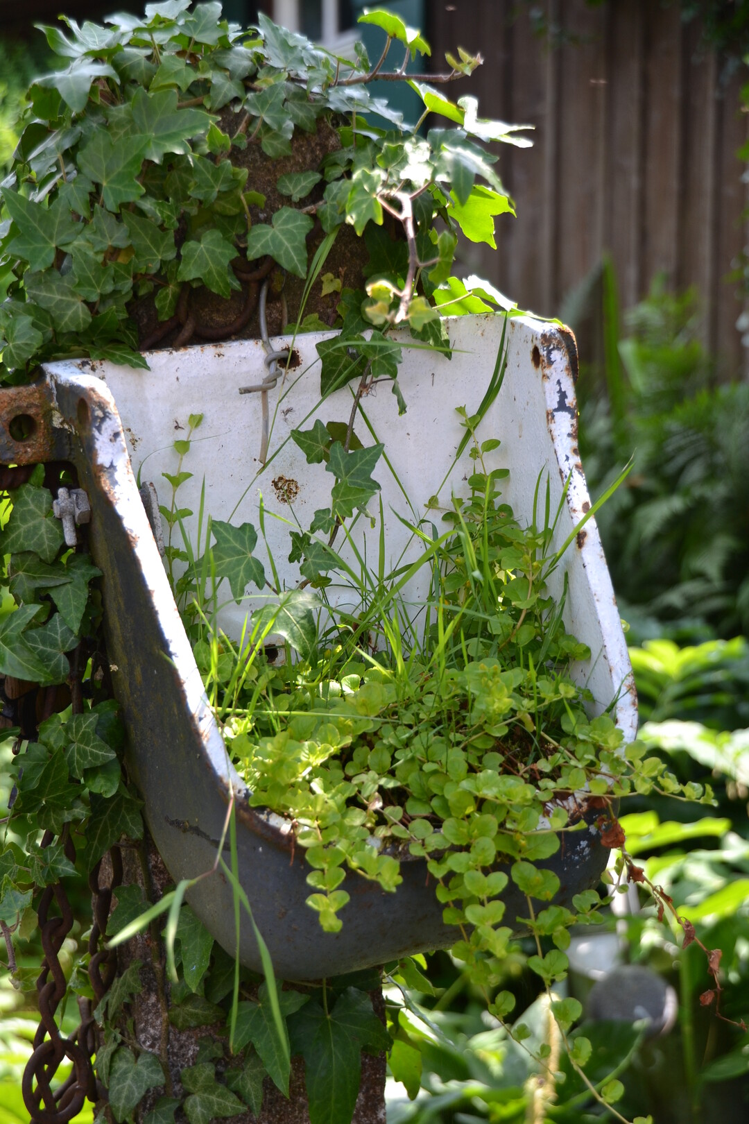 Gartenfahrt 19.6.2015 Naturgarten Geigle Bad Urach-Hengen
