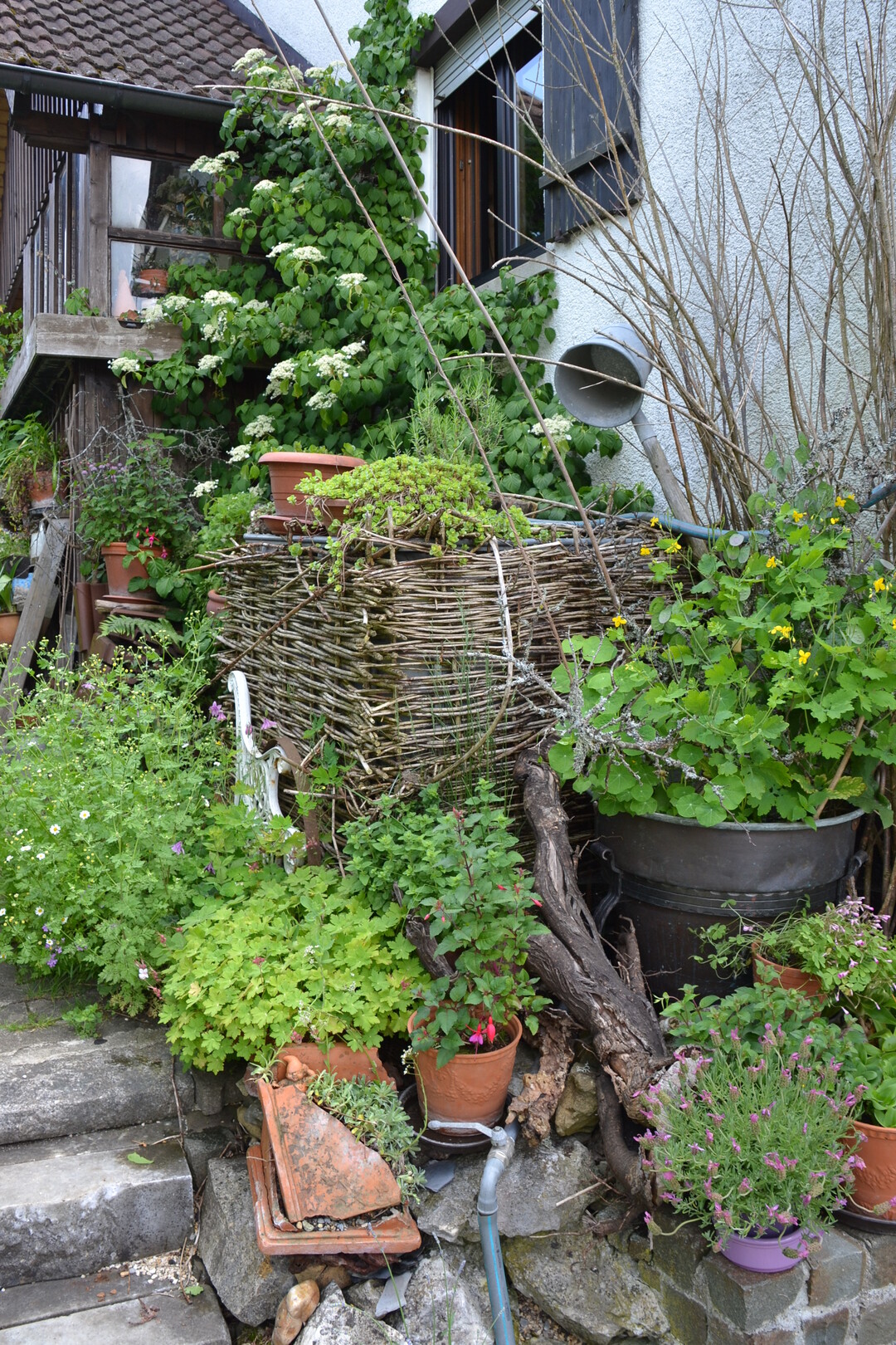 Gartenfahrt 19.6.2015 Naturgarten Geigle Bad Urach-Hengen