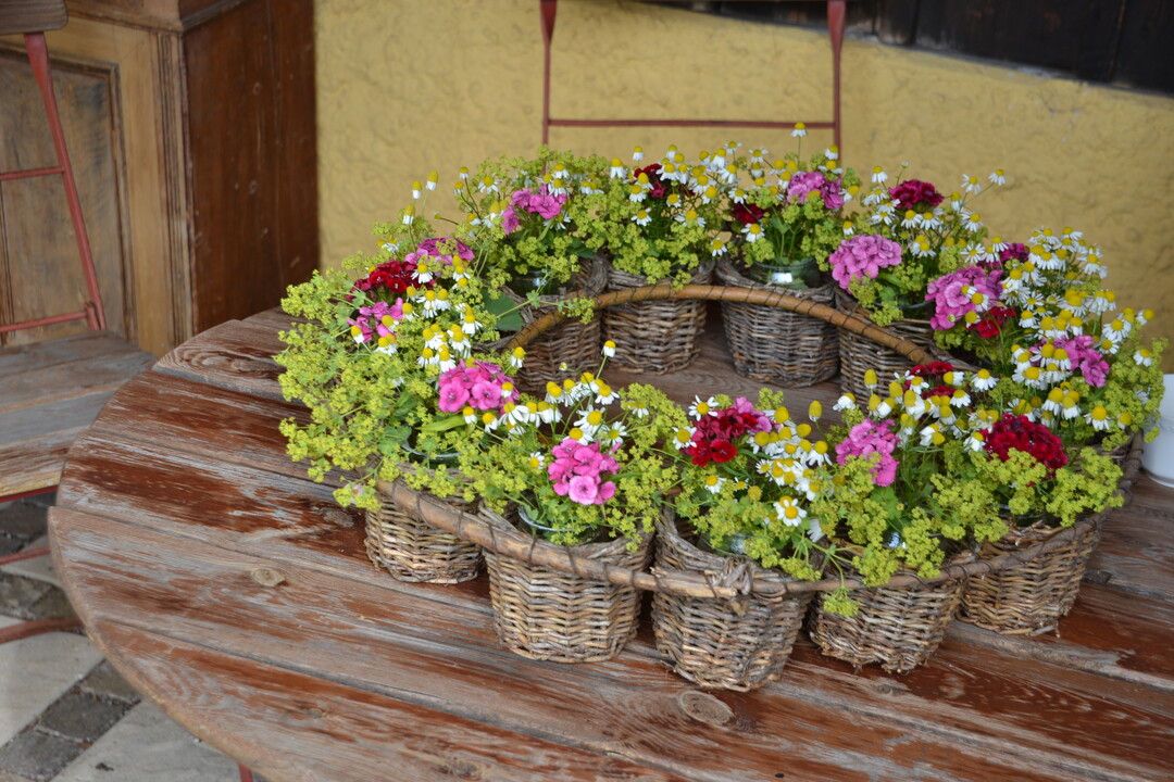 Gartenfahrt 19.6.2015 Garten Daiber Alleshausen