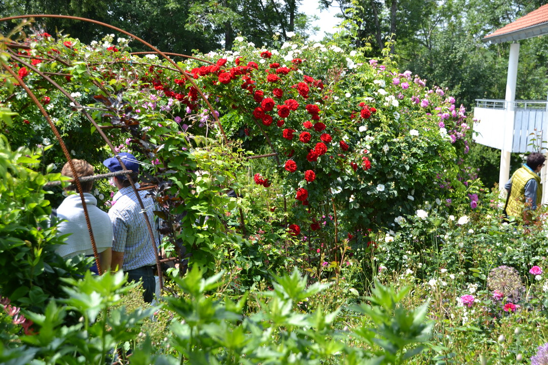 Gartenfahrt 19.6.2015 Garten Elsbeth Mayer Bad Urach-Wittlingen
