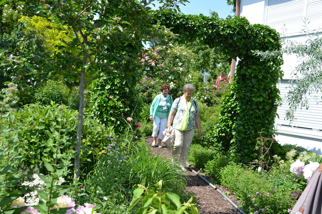 Gartenfahrt 19.6.2015 Garten Elsbeth Mayer Bad Urach-Wittlingen