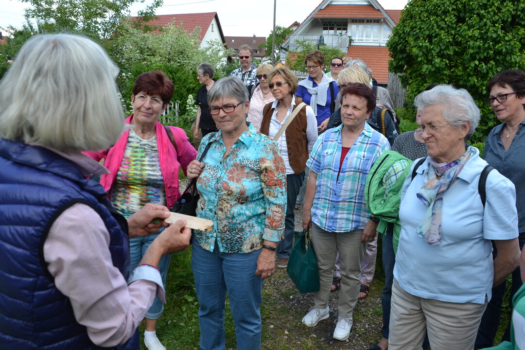 Gartenfahrt 19.6.2015 Garten Marianne Gekeler R�merstein-B�hringen