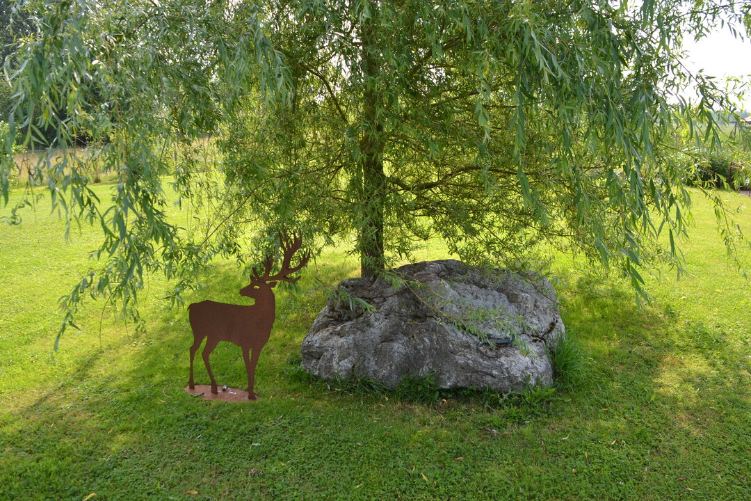 Gartenfahrt 19.6.2015 Garten Daiber Alleshausen