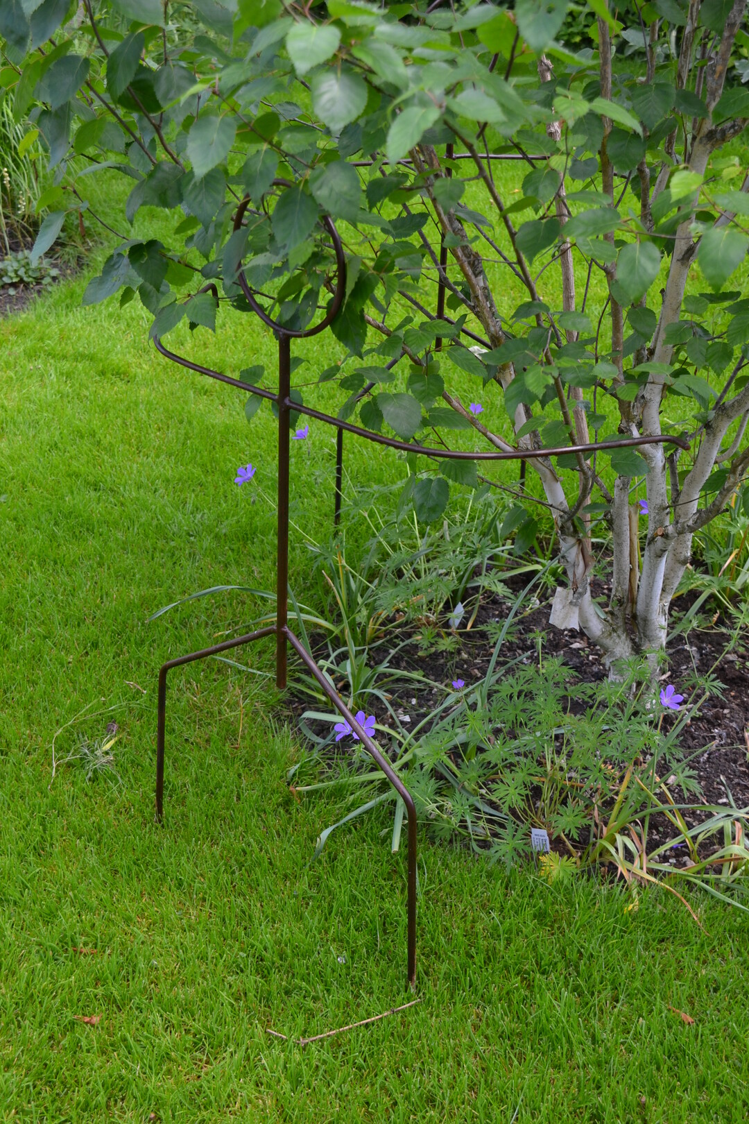 Gartenfahrt 19.6.2015 Garten Marianne Gekeler R�merstein-B�hringen