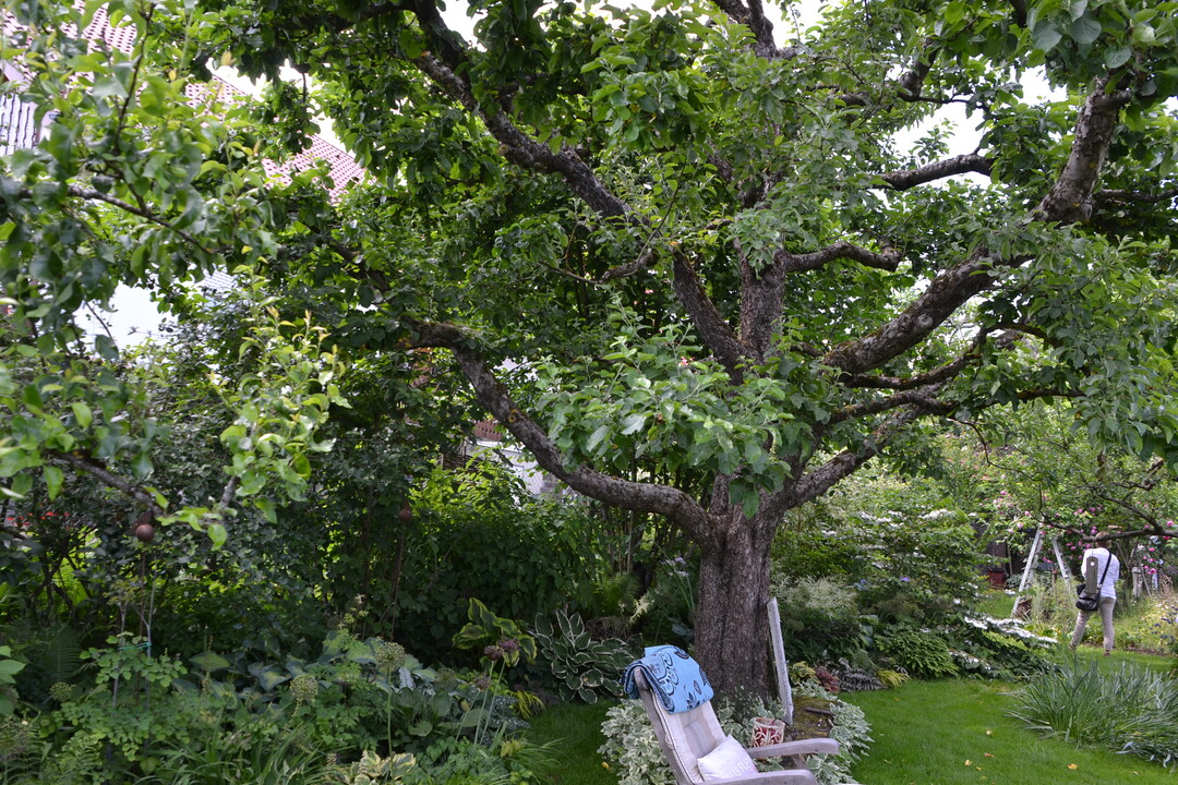 Gartenfahrt 19.6.2015 Garten Marianne Gekeler R�merstein-B�hringen