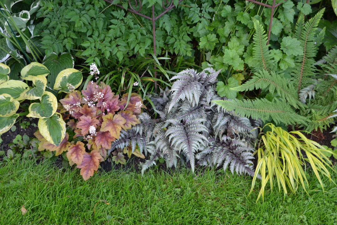 Gartenfahrt 19.6.2015 Garten Marianne Gekeler R�merstein-B�hringen