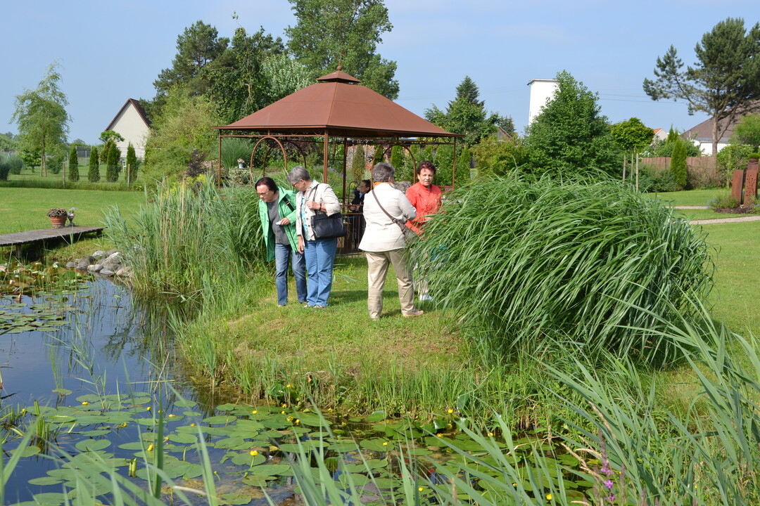 Gartenfahrt 19.6.2015 Garten Daiber Alleshausen