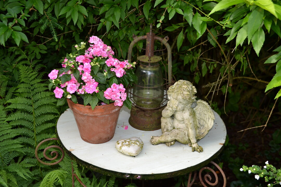 Gartenfahrt 19.6.2015 Garten Daiber Alleshausen