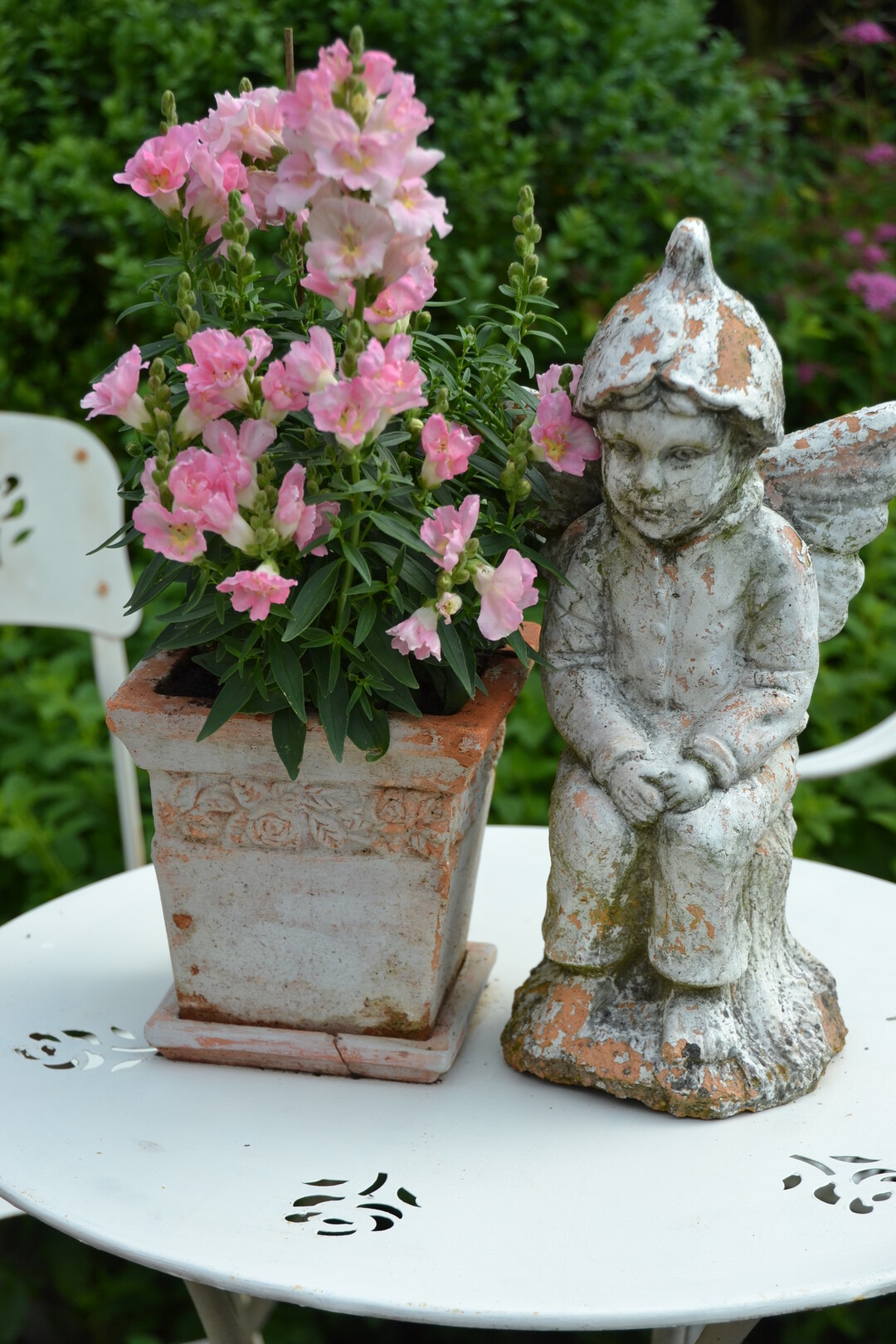 Gartenfahrt 19.6.2015 Garten Daiber Alleshausen