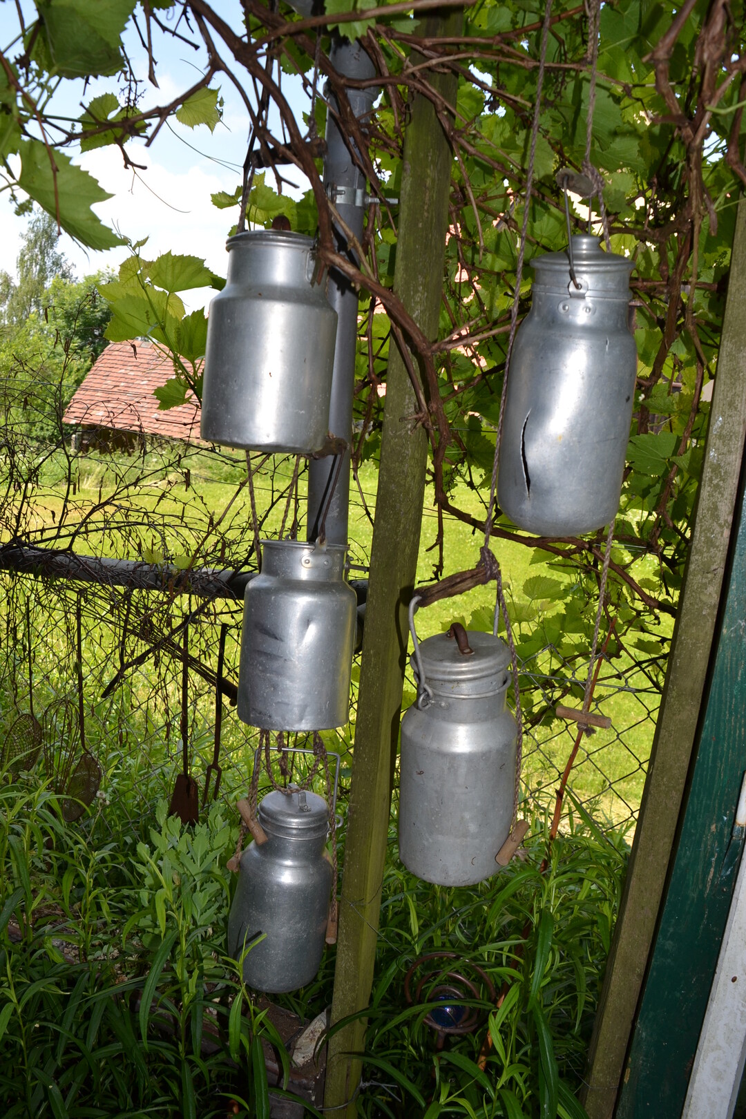 Gartenfahrt 19.6.2015 Naturgarten Geigle Bad Urach-Hengen