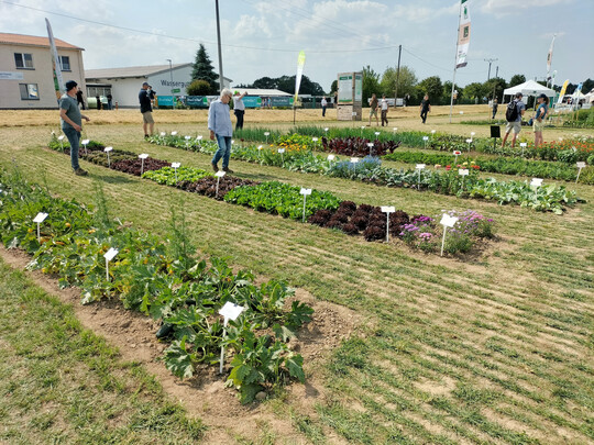 Die Aussteller zeigten Neuerungen von klimaangepassten Fruchtfolgen, robusten Sorten und neuen Kulturen �ber Waldweide, Kompostierung und ressourcenschonende Bew�sserung bis hin zu innovativen Ger�ten f�r die Bodenbearbeitung.