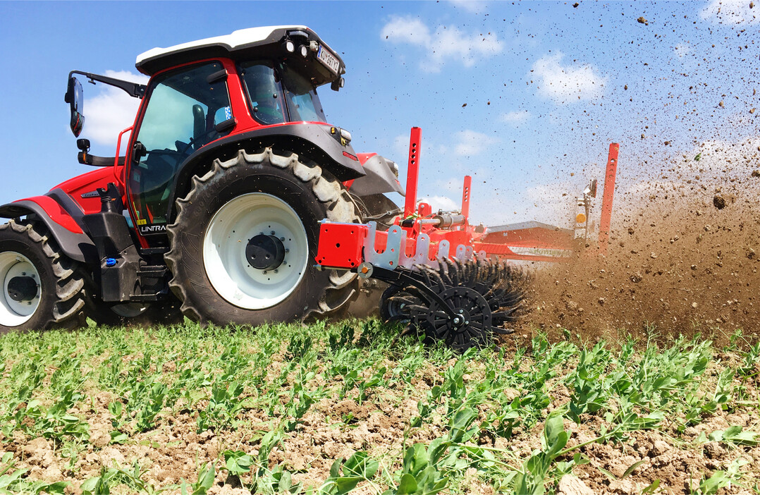 Rollhacken und -Striegel haben eine �hnliche Wirkung wie Zinkenstriegel, brechen aber Verkrustungen besser auf.