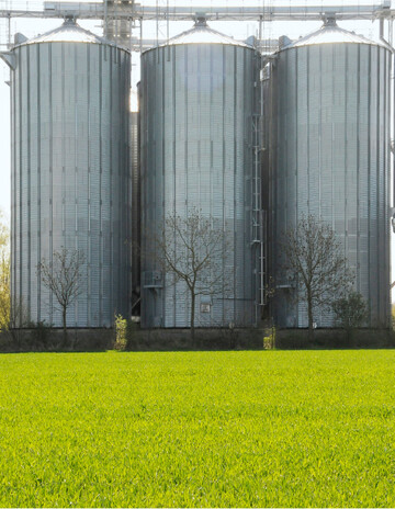 Die Preise f�r Getreide und �lsaaten sind hoch. F�r eine gute Ernte muss aber auch das Wetter mitspielen.