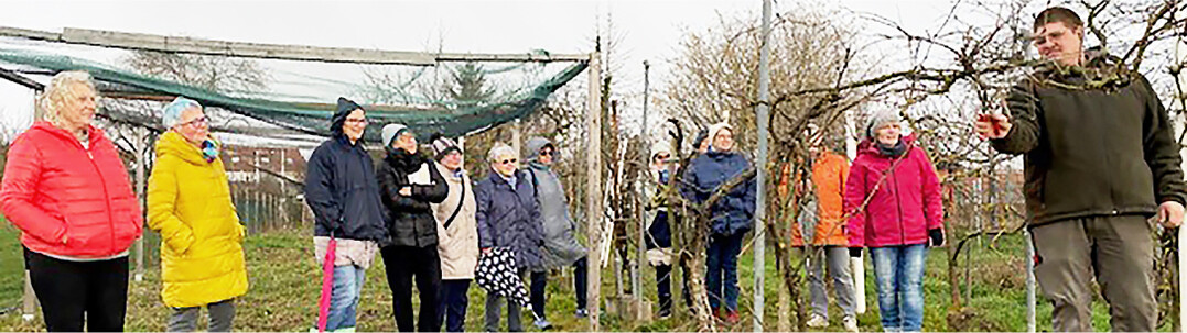 Obstbaumeister Georg Schneider demonstriert den Edinger Landfrauen den richtigen Schnitt.