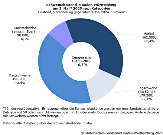 Die Nutztierbestände in Baden-Württemberg gehen weiter zurück. Besonders stark fällt dieser Rückgang bei Zuchtschweinen und Ebern aus.
