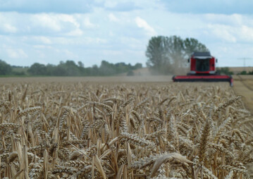 Getreideernte