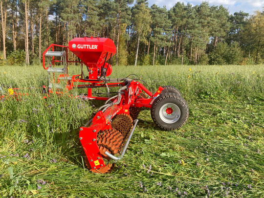 Vor dem Verholzen der ZWF sollte man diese mit einer Prismenwalze umwalzen und zerkleinern.