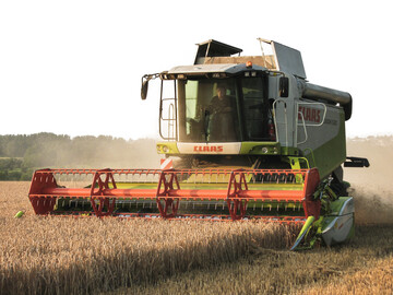 F�r eine erfolgreiche Weizenernte ist eine exakte Einstellung des M�hdreschers entscheidend.