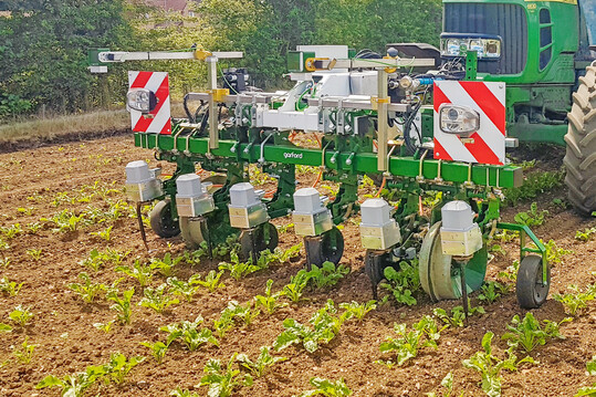 Die neue KI-gesteuerte Kameratechnik von Garford erkennt selbst in einem Unkraut-Teppich die Nutzpflanzen.